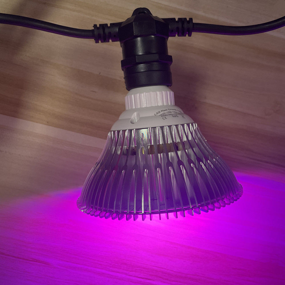 สายไฟ LED ยาว 10 เมตร เกรดเชิง - Outdoor Power Outlet บทวิจารณ์และราคา